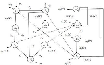 Fractional-order analysis of temperature- and rainfall-dependent mathematical model for malaria transmission dynamics